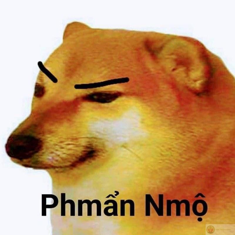 Tui biết sai nhưng Cheems trong người quá mạnh