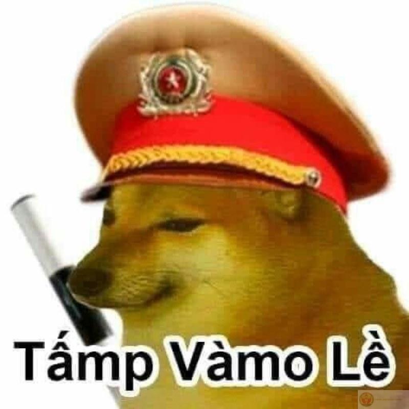 Tui đang đọc, nhưng não đang dạo chơi