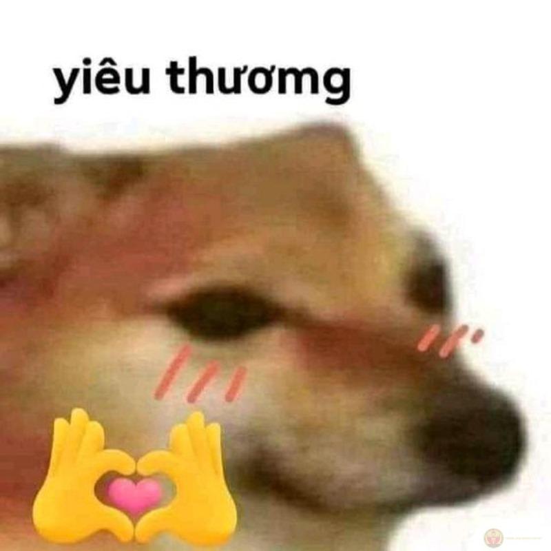 Tui đang nghiêm túc, chỉ là mặt không cho phép