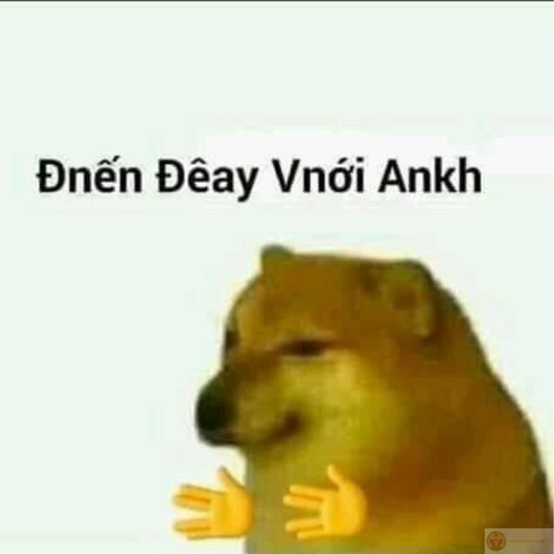 Tui đang nhớ bài nhưng não tui phản bội