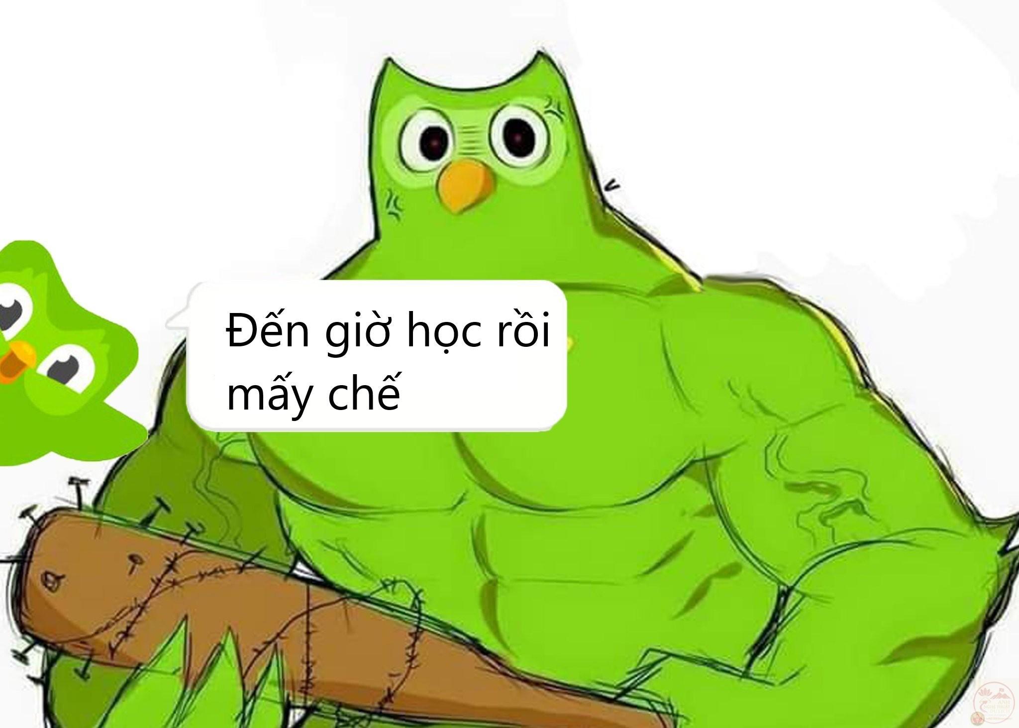 Hình ảnh Khuôn Mặt Tức Giận Cơ Bắp Thỏ Hài Hước Biểu Hiện Vectơ PNG , Tức Giận, Cơ Bắp, Con Thỏ PNG và Vector với nền trong suốt để tải xuống