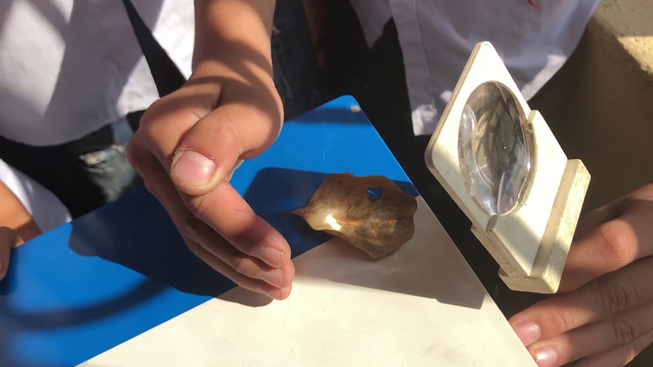 Hình ảnh dùng thấu kính hội tụ đốt cháy lá khô. (Ảnh: Sưu tầm Internet)