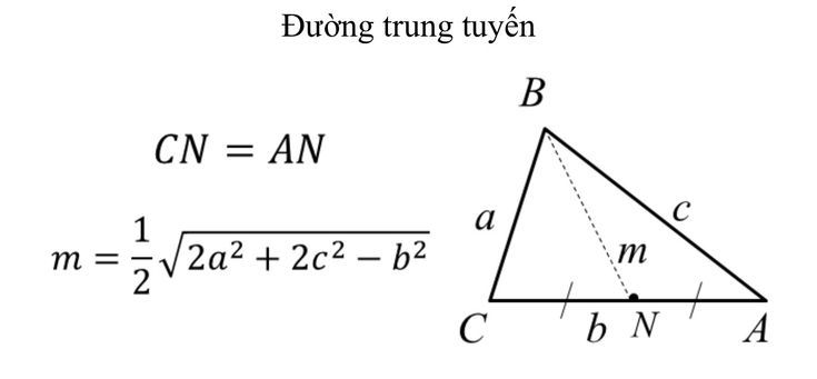 Chứng Minh Công Thức Tính Đường Trung Tuyến Chi Tiết Nhất