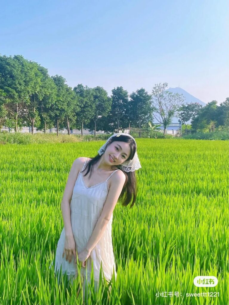 Concept chụp ảnh cánh đồng lúa