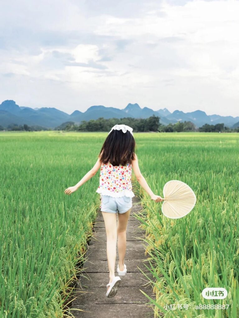 Concept chụp ảnh cánh đồng lúa