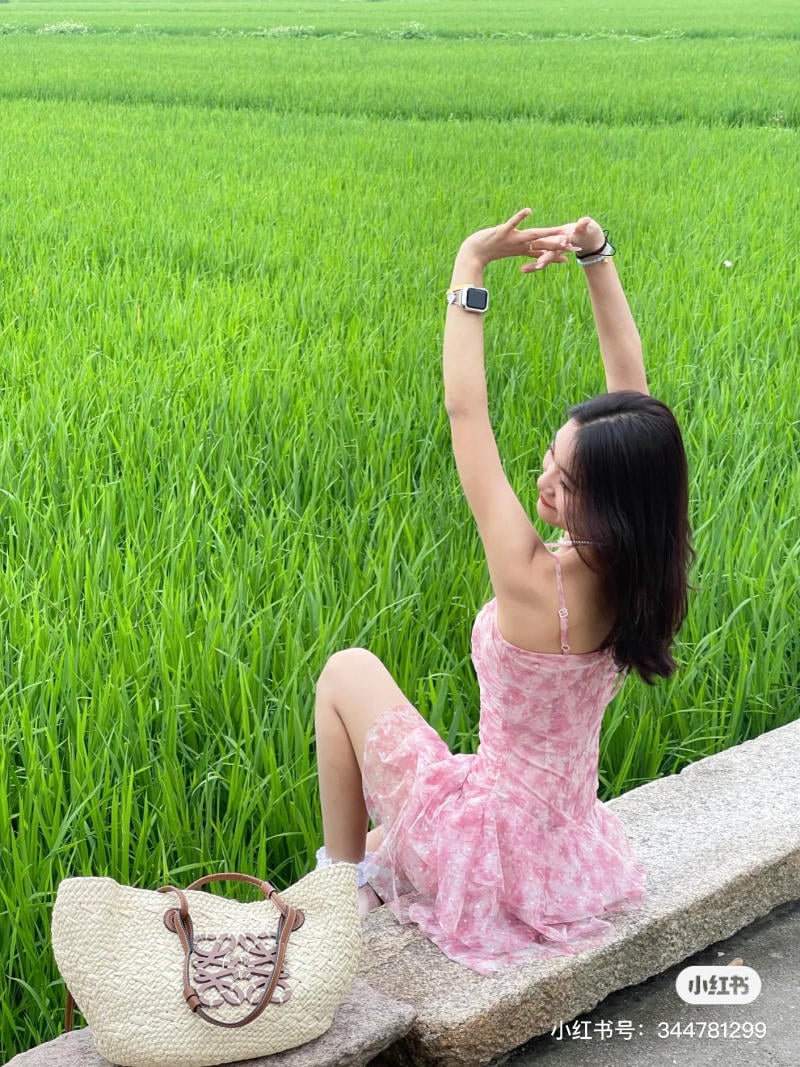 Concept chụp ảnh cánh đồng lúa