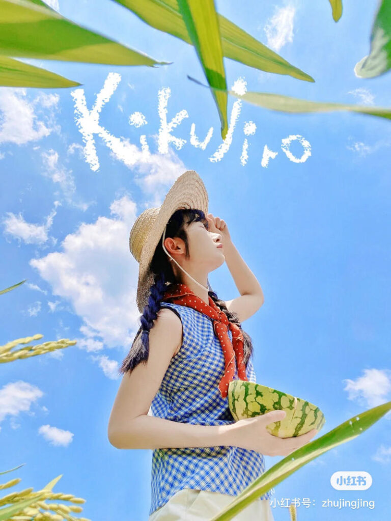 Concept chụp ảnh cánh đồng lúa