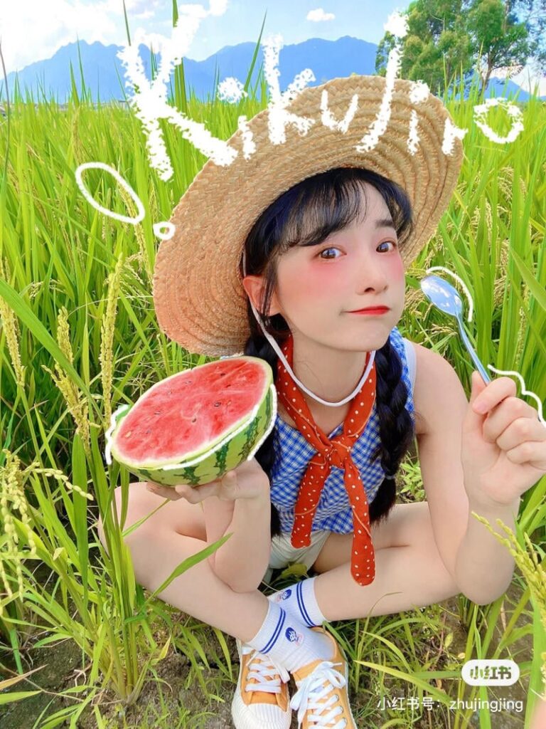 Concept chụp ảnh cánh đồng lúa