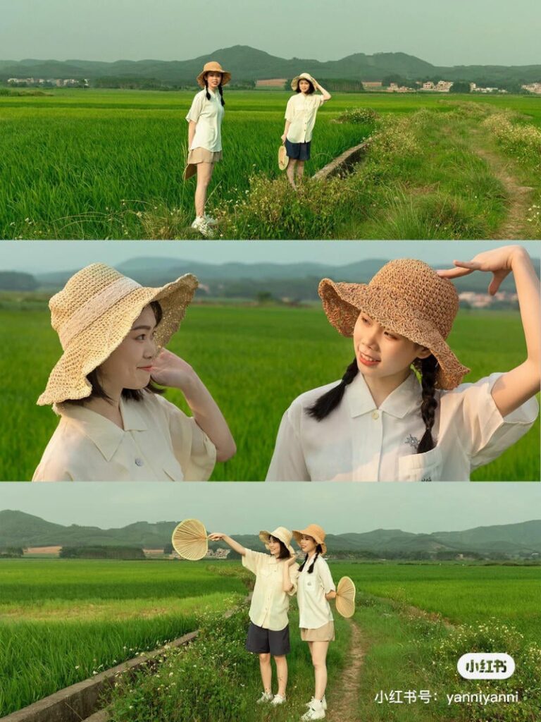 Concept chụp ảnh cánh đồng lúa