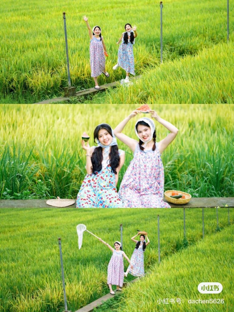 chup-anh-canh-dong-lua