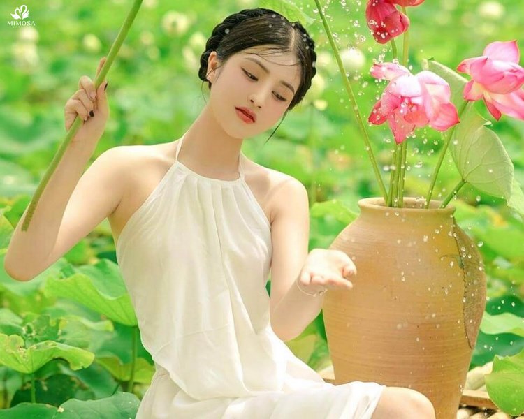 hình chụp hoa sen