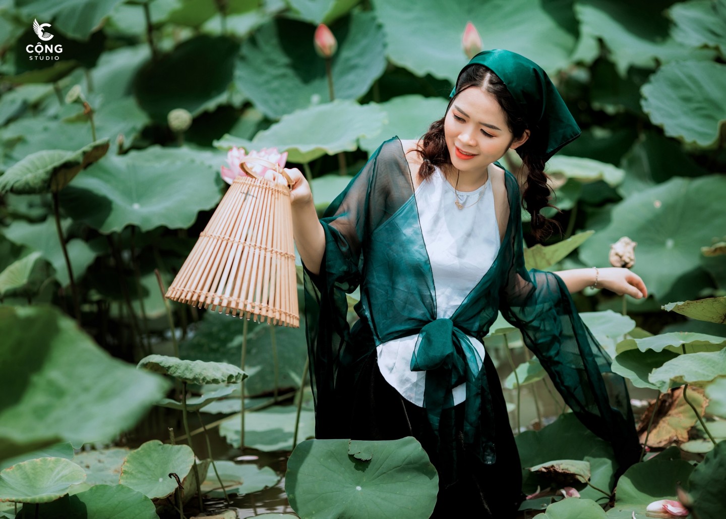 hình chụp hoa sen đơn giản