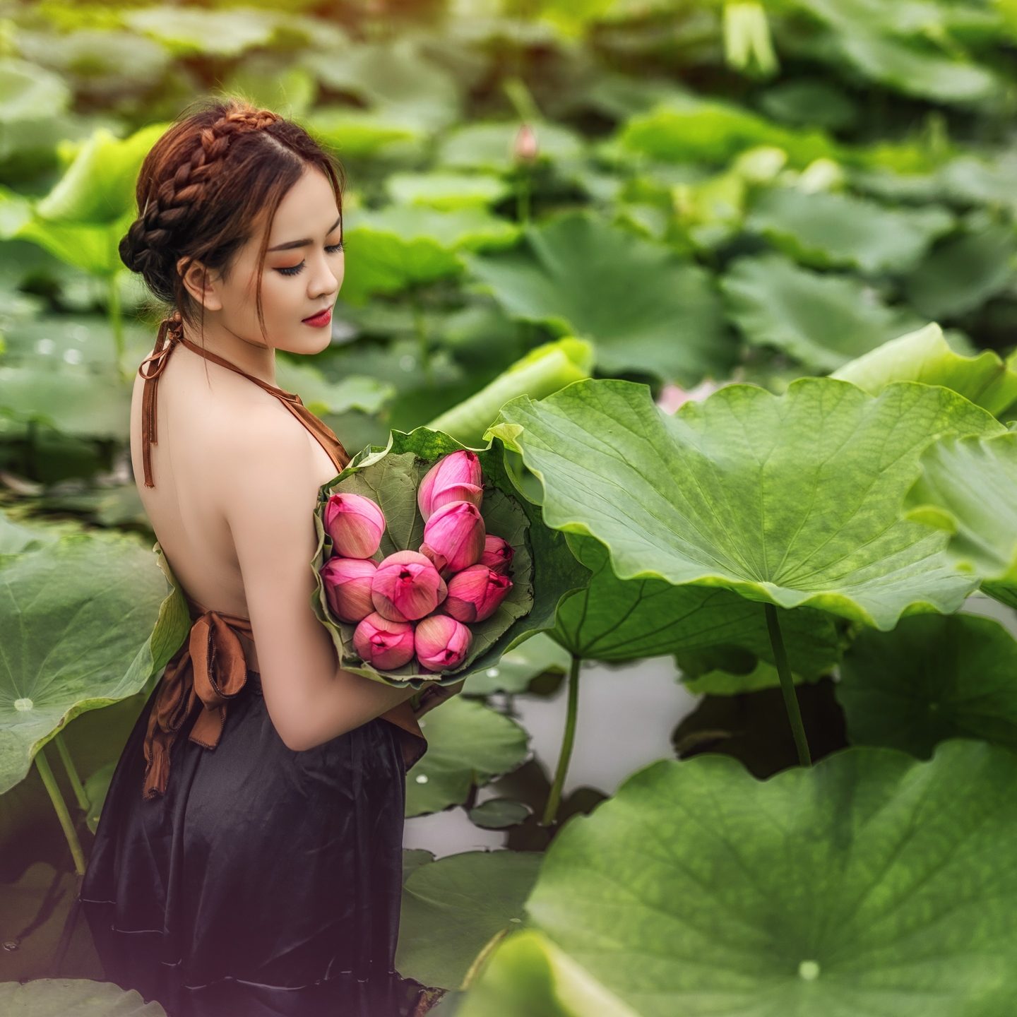 hình chụp hoa sen vintage cổ điển