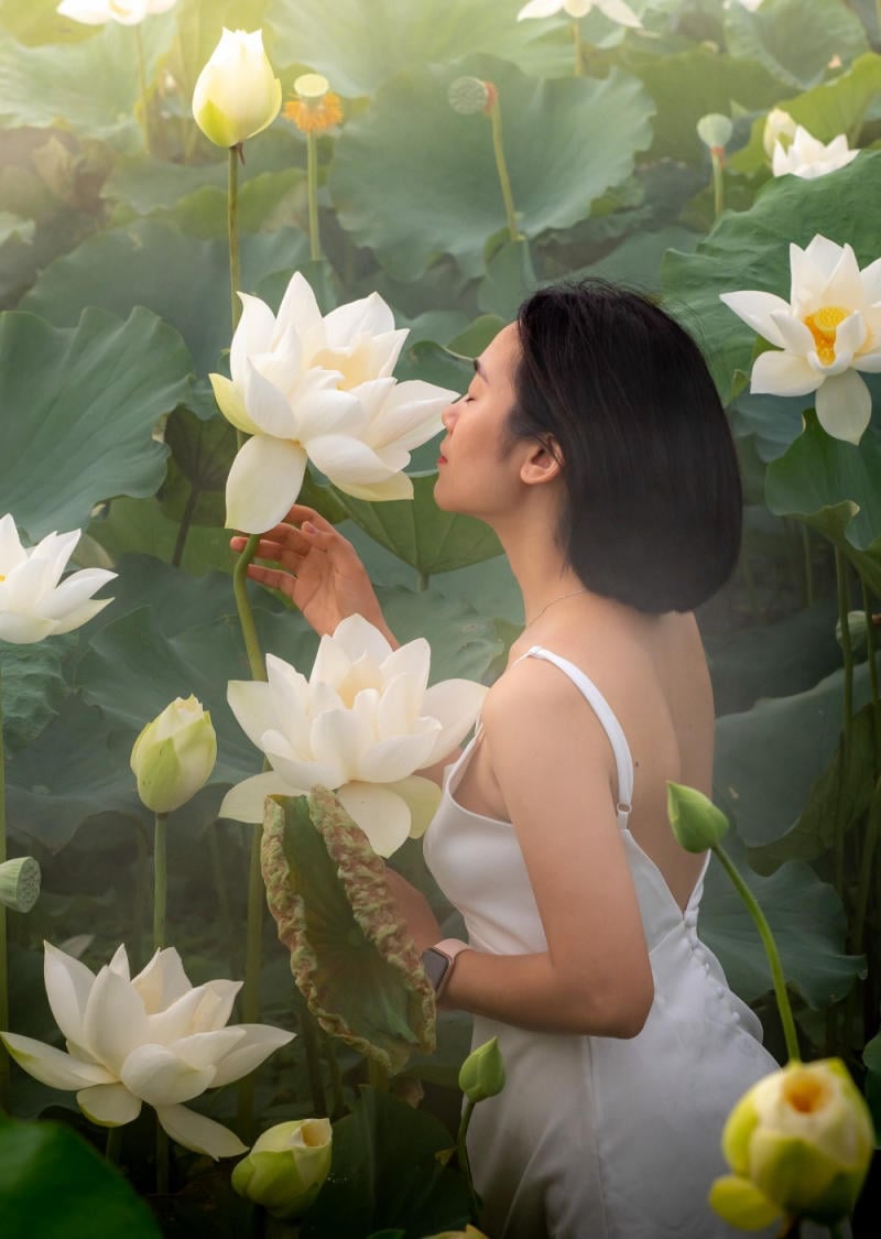 chụp ảnh với sen mặc gì