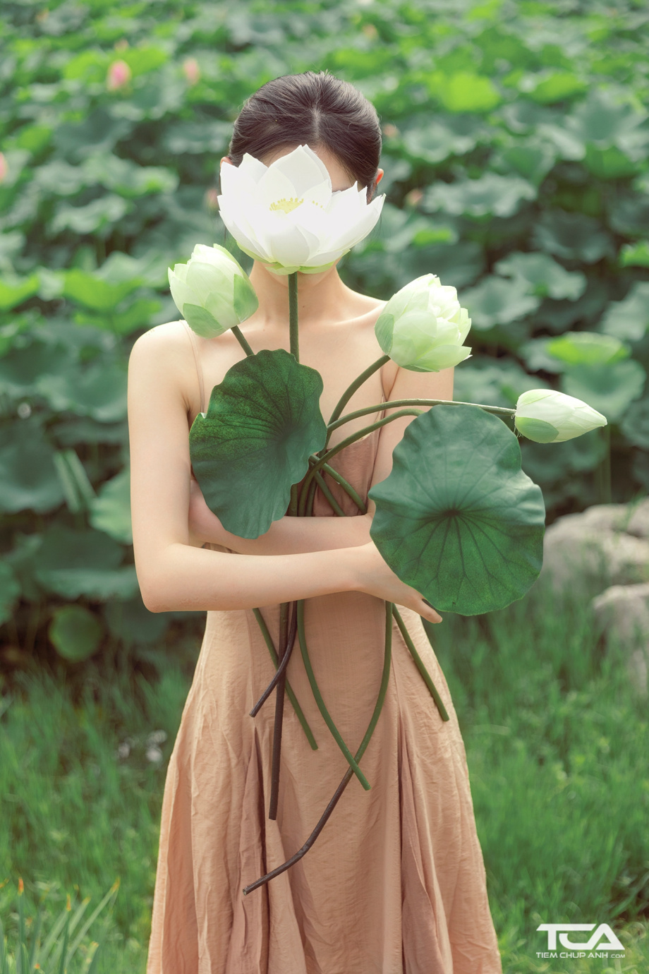 hình chụp hoa sen vintage thu hút