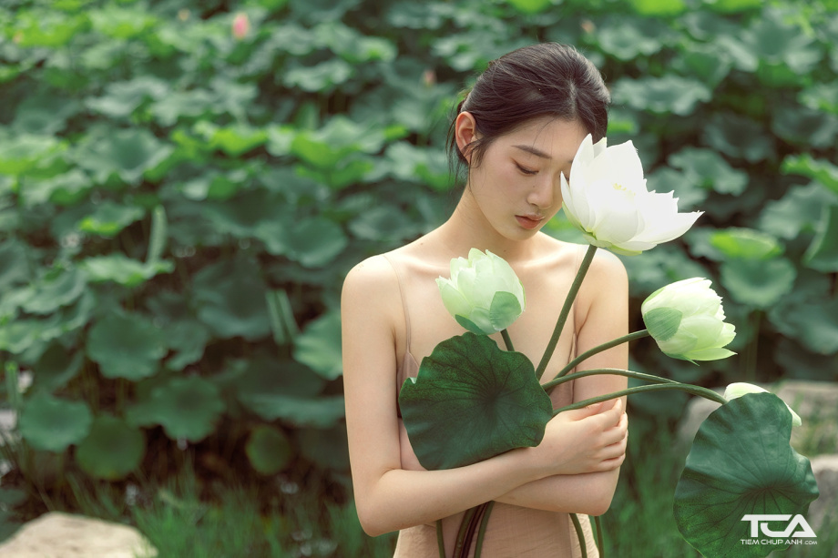 hình chụp hoa sen vintage đẹp nhất