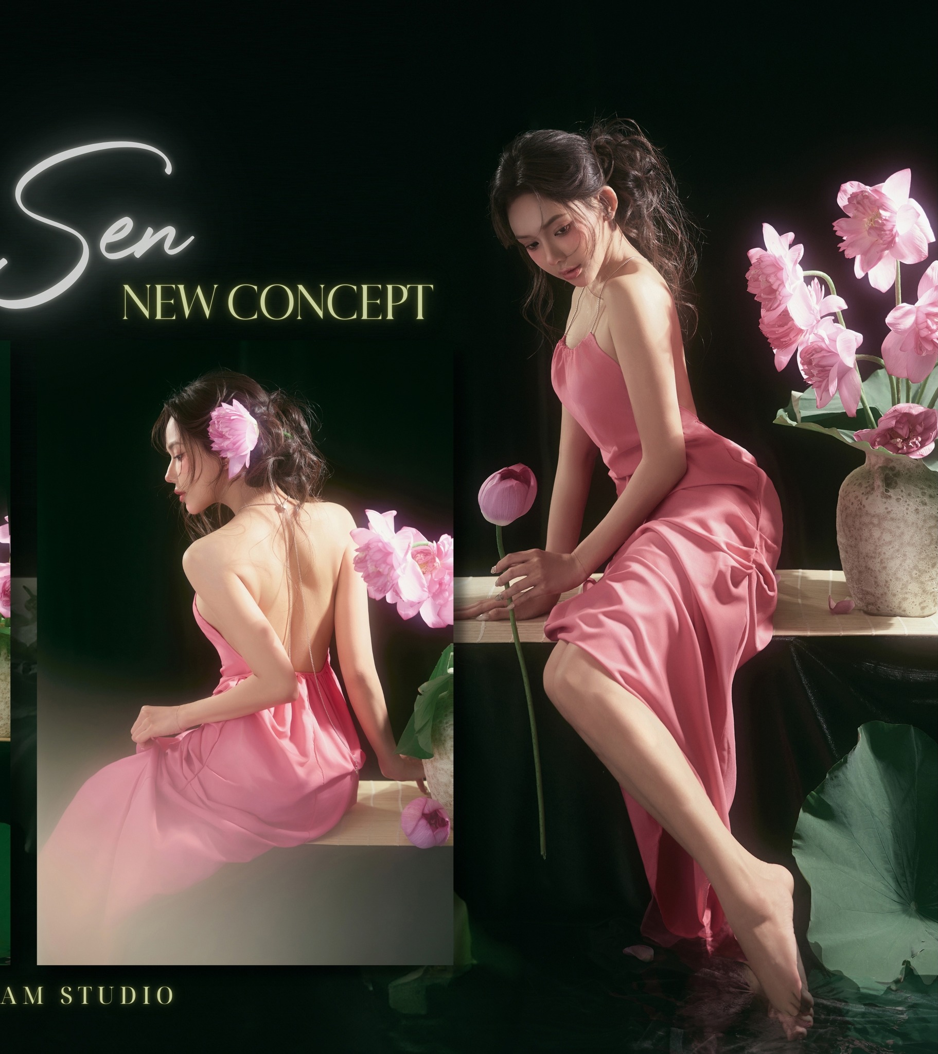 mẫu ảnh chụp sen quyến rũ nhất