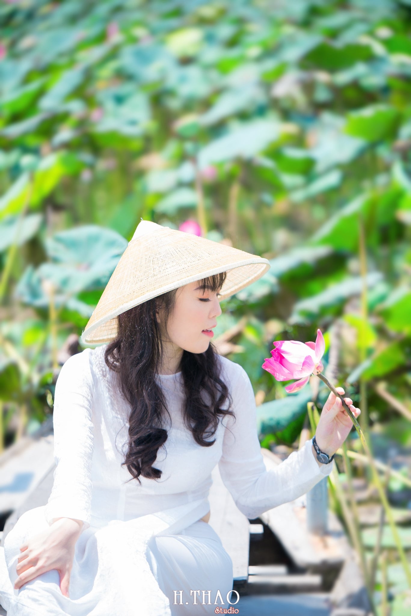 Anh Hoa sen 3 min - Studio chuyên chụp ảnh với hoa sen đẹp, giá rẻ Tp.HCM - HThao Studio