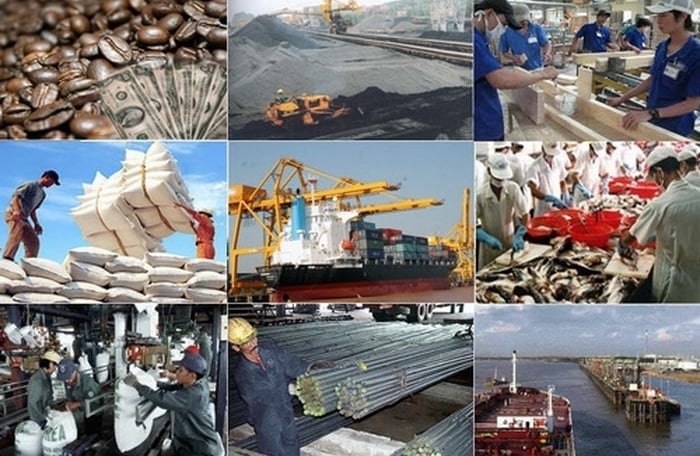 Cơ cấu ngành là gì?