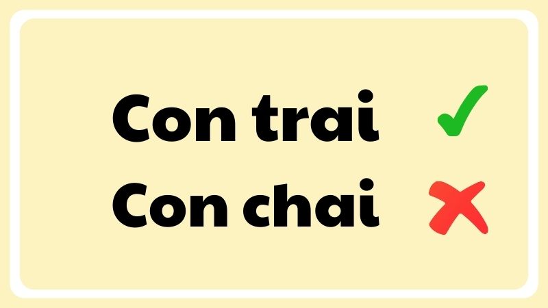 Con chai hay con trai đúng chính tả?