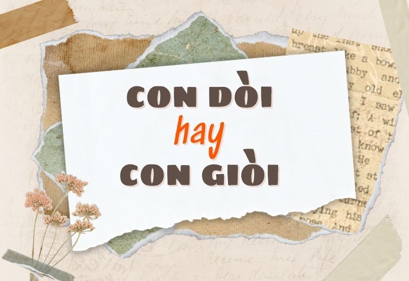 Con dòi hay con giòi đúng chính tả?