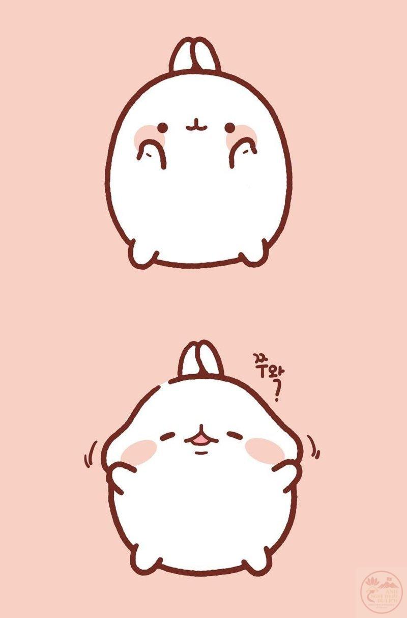 Thỏ anime sức sống