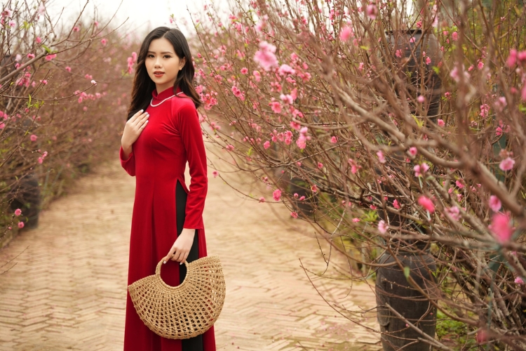 Tạo dáng chụp ảnh áo dài Tết với vườn hoa đào