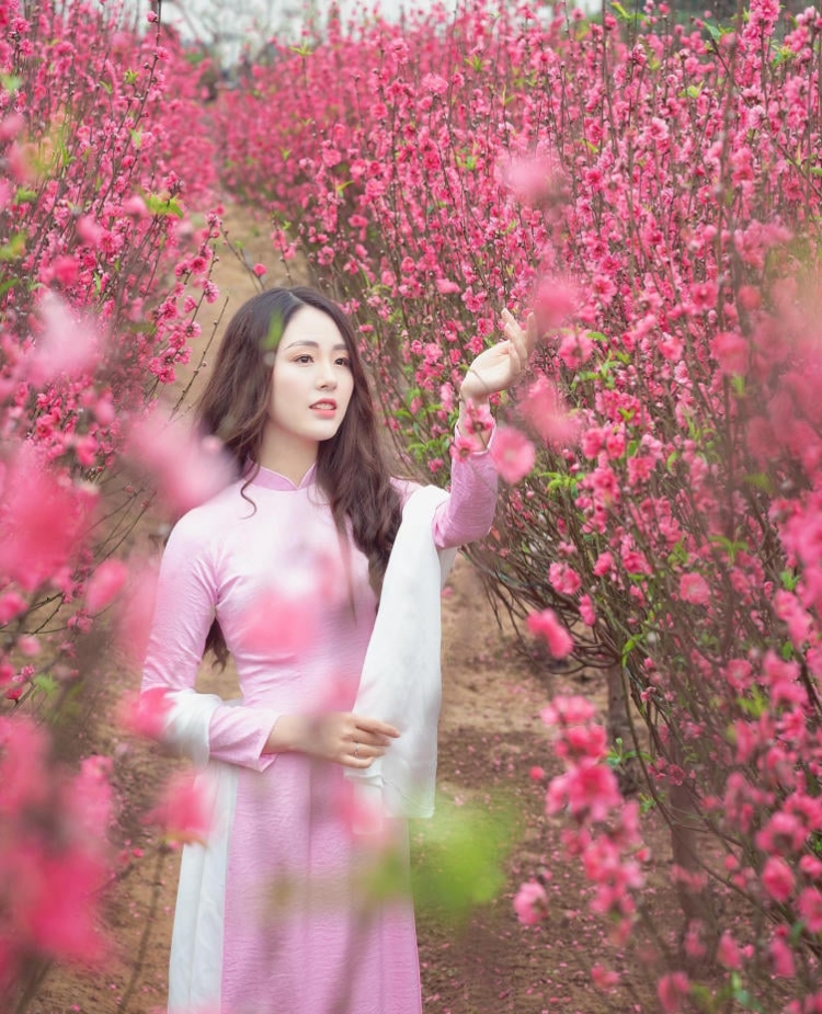 Tạo dáng chụp ảnh áo dài Tết với vườn hoa đào