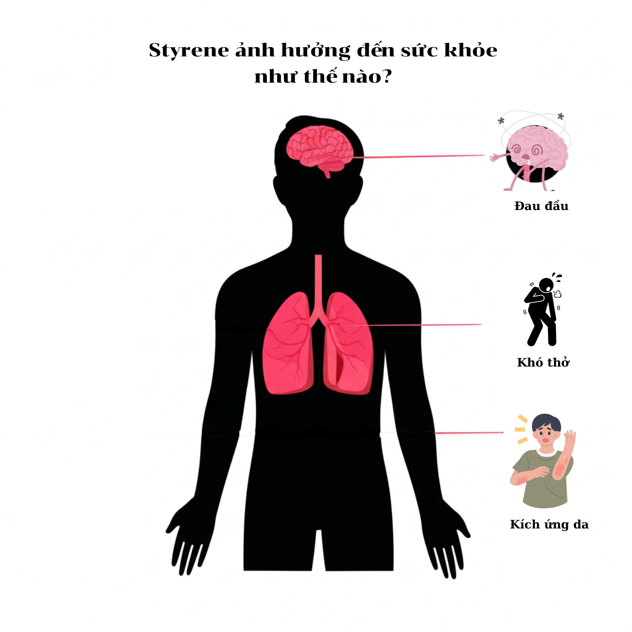 tac-dong-cua-styrene-den-suc-khoe-con-nguoi