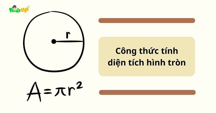 Tính diện tích hình tròn