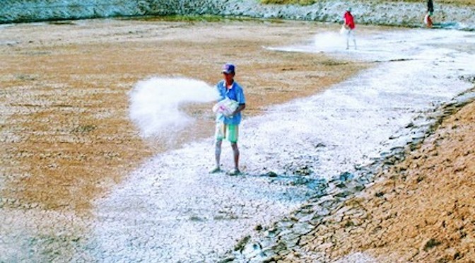 Vôi bột nông nghiệp