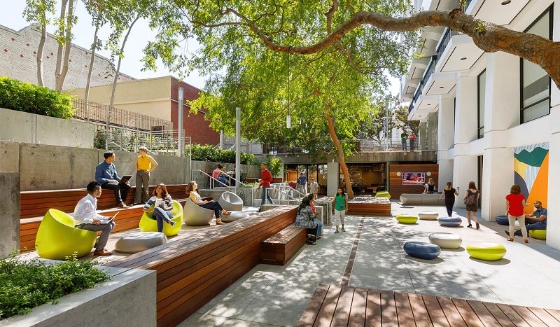 Ngành kiến trúc cảnh quan học gì?