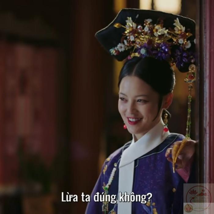 Meme như ý truyện: ngắm nhìn mèo giáng sinh ấm áp 2025