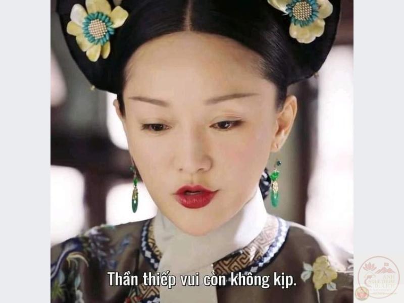 Meme ấn tượng trong Như Ý Truyện