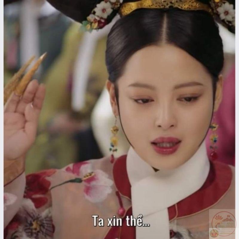 Meme Gia Quý Phi xin thề