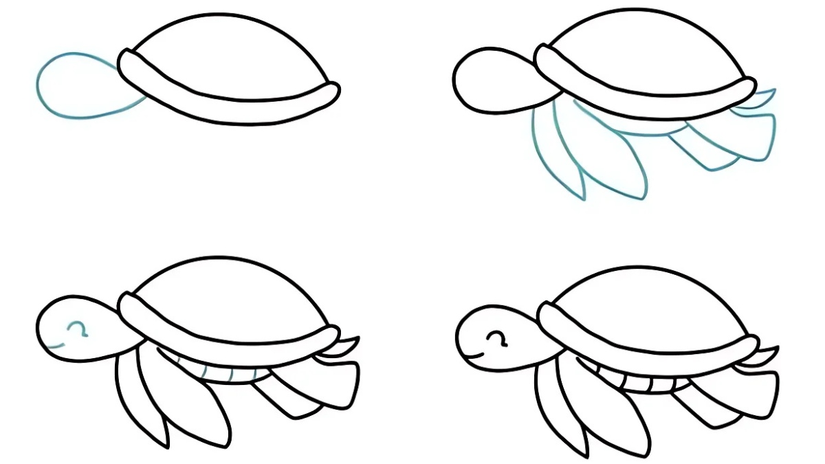 cách vẽ con vật dưới nước hình con rùa