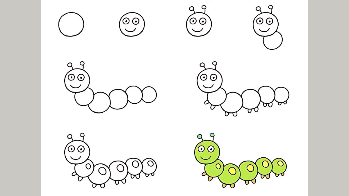 Cách vẽ con vật đẹp dễ dàng