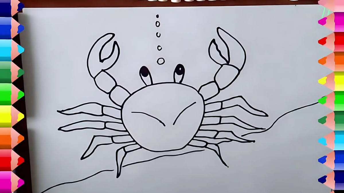 cách vẽ con vật cua biển