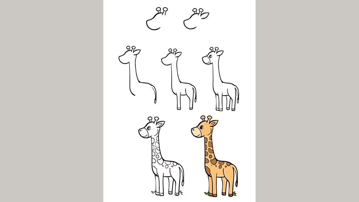 Cách vẽ con vật cute đơn giản cho bé