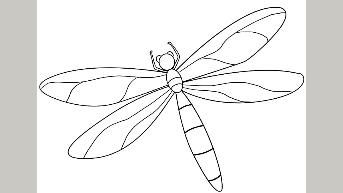 Cách vẽ con vật dễ thương nhất