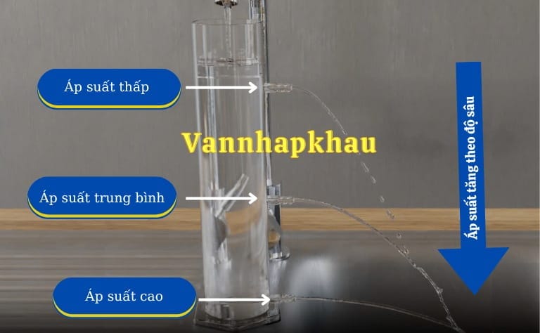 ap suat chat long vannhapkhau