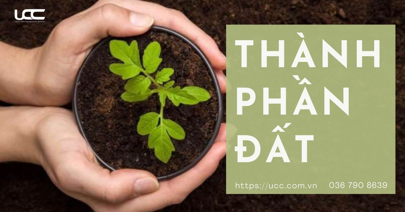 Thành phần của đất bao gồm những gì?