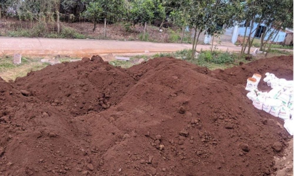 Đất phù sa trồng cây gì? Đặc điểm, phân loại và cách cải tạo hiệu quả