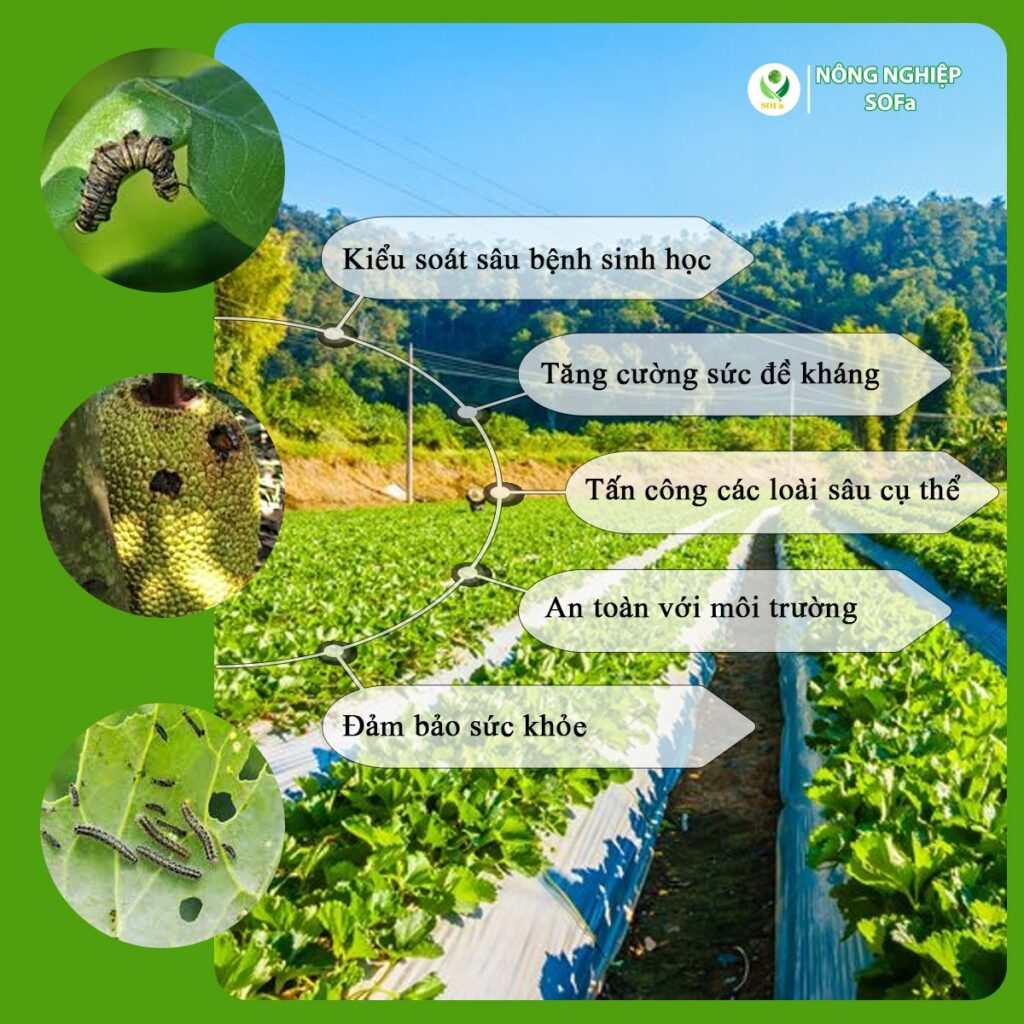 772e219e51a9faf7a3b8