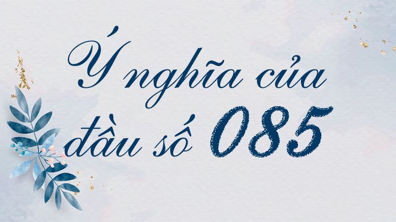 Ý nghĩa của đầu số 085