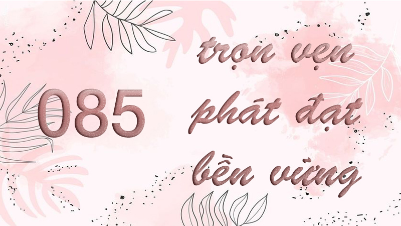 Ý nghĩa đặc biệt của đầu số 085