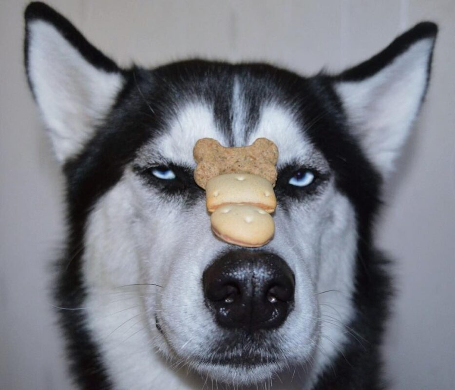 Khi Dễ Hay Khi Dể? Khinh Dễ Hay Khinh Dể Là Đúng Chính Tả?