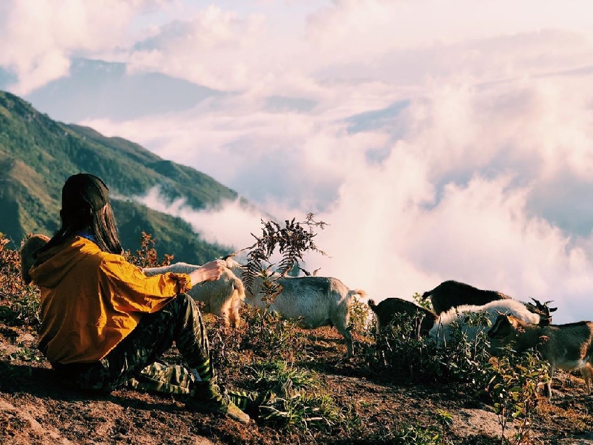 Cảnh quan trên đỉnh Putaleng