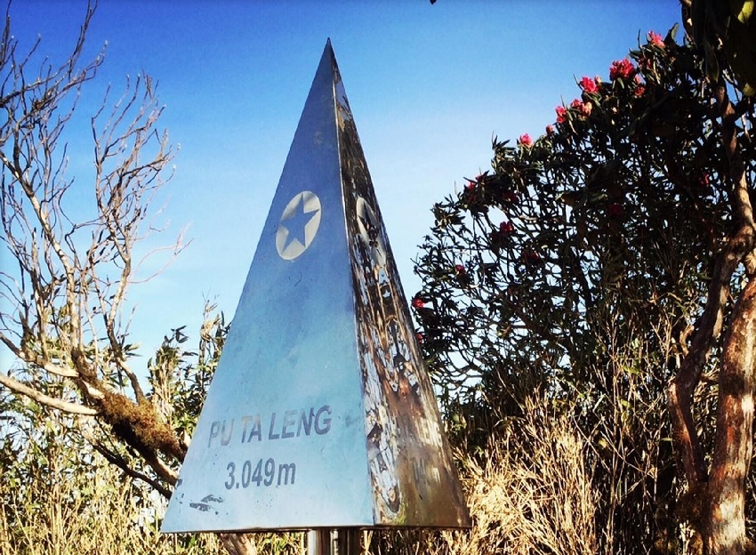 Ruộng bậc thang tại Tả Liên Sơn