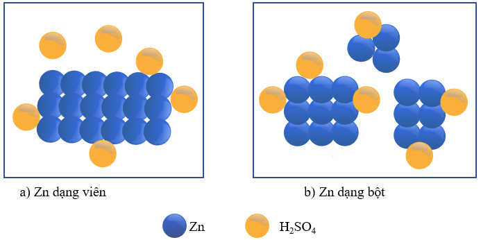 Tốc độ phản ứng hóa học